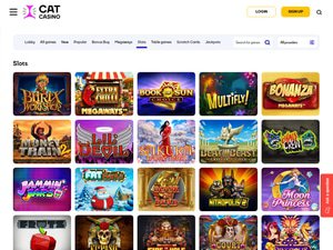 Cat Casino software screenshot
