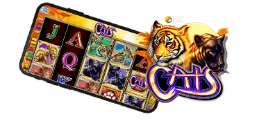 Cats Online Slot Review