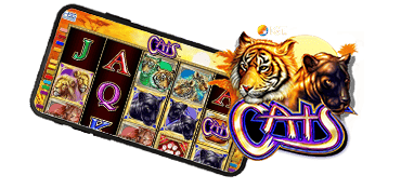 Cats Online Slot Review