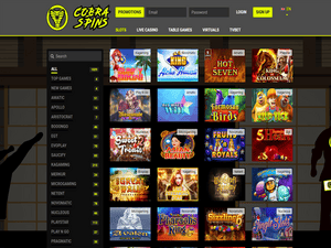 Cobraspins software screenshot