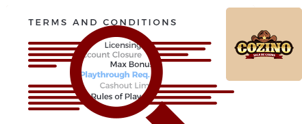 Cozino Casino Terms