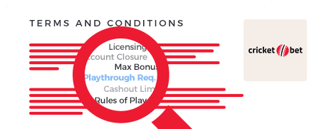 Cricket Casino Terms