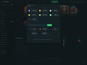 Duelbits cashier screenshot
