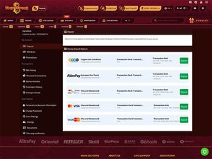 EightStorm Casino cashier screenshot