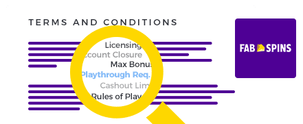 Fab Spins Casino Terms