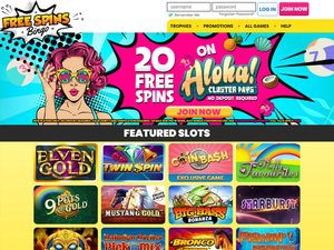 Free Spins Bingo website screenshot