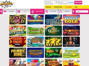 Free Spins Bingo software screenshot