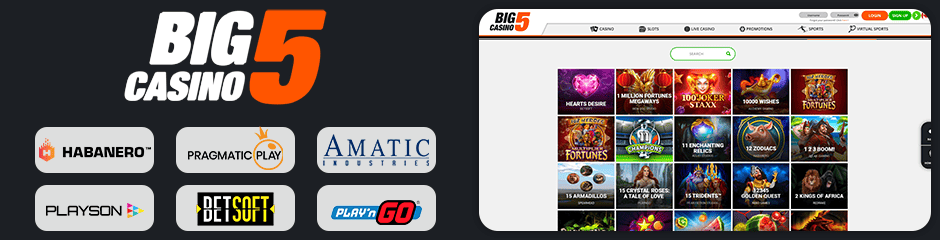 big 5 casino games and software