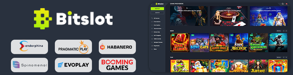 Bitslot Casino games and software