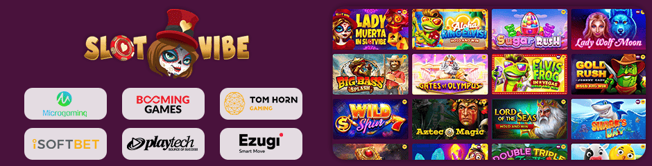 SlotVibe Casino games and software