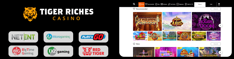 Tiger Riches Casino games and software