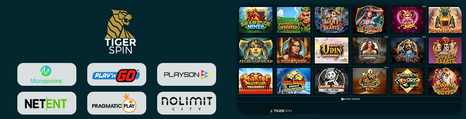 TigerSpin Casino games and software
