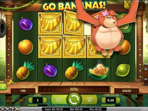 Stan James Casino software screenshot