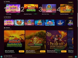Grizzly's Quest Casino software screenshot