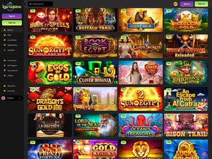 Igu Casino software screenshot