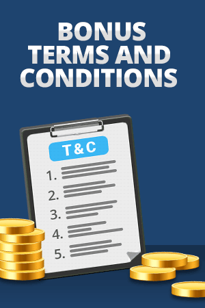 terms and conditions