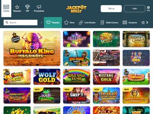 Jackpot Molly software screenshot