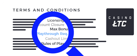 LTC Casino Terms