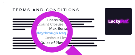 Lucky Fox Casino Terms