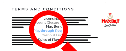 Max Bet Casino Terms