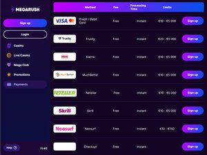 MegaRush cashier screenshot