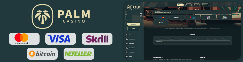 payment options for depositing and withdrawing palm casino