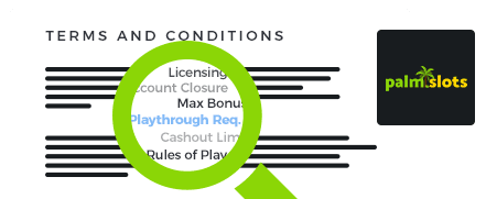 PalmSlots Casino Terms