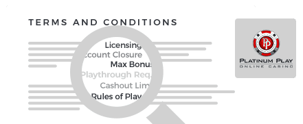 Platinum Play Casino Terms