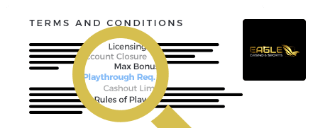 PlayEagle Casino Terms