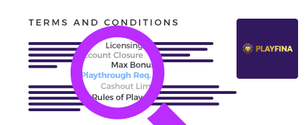 Playfina Casino Terms