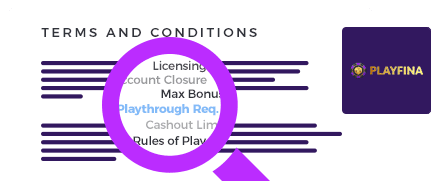 Playfina Casino Terms