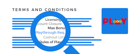 PlayOLG Casino Terms