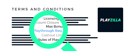 Playzilla Casino Terms