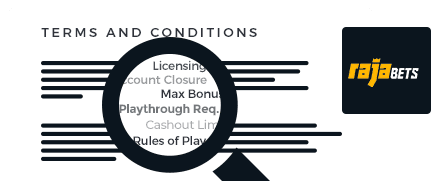 Rajabets Casino Terms