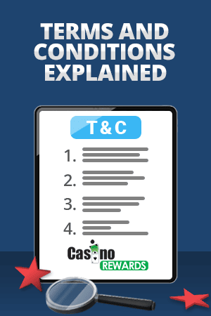 terms and conditions explained