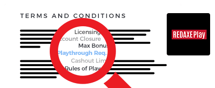 RedAxePlay Casino Terms