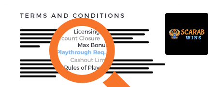 Scarabwins Casino Terms