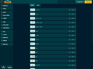 Spinanga Casino cashier screenshot