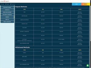Spinfinity Casino cashier screenshot
