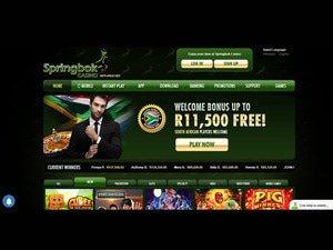 Springbok Casino website screenshot