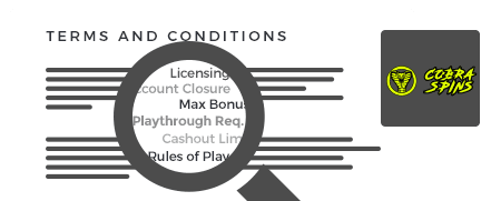 terms and conditions cobra spins casino top 10