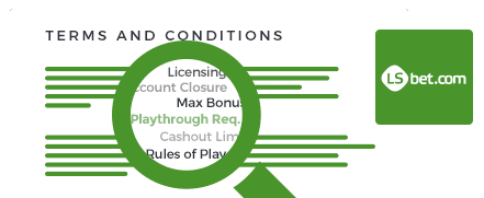Lsbet Casino top 10 terms and conditions