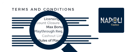 Napoli Casino Top 10 Terms and Conditions