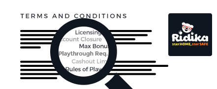 Ridika Casino top 10 terms and conditions