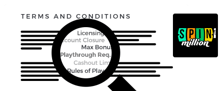 Spin Million Casino Top 10 Terms and Conditions