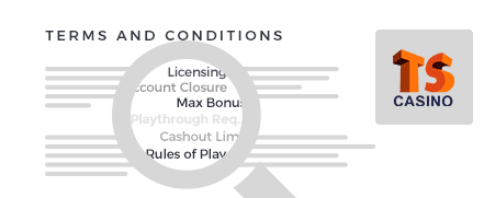 Times Square Casino top 10 terms and conditions