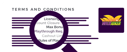 Wild Joker Casino Top 10 Terms and Conditions