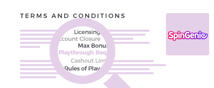 spin genie terms and conditions