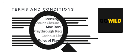 go wild casino terms and condition top 10