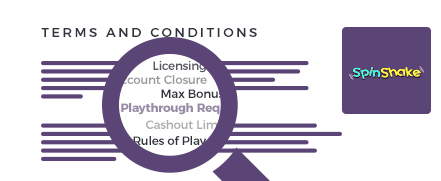 spinshake casino top 10 terms and conditions